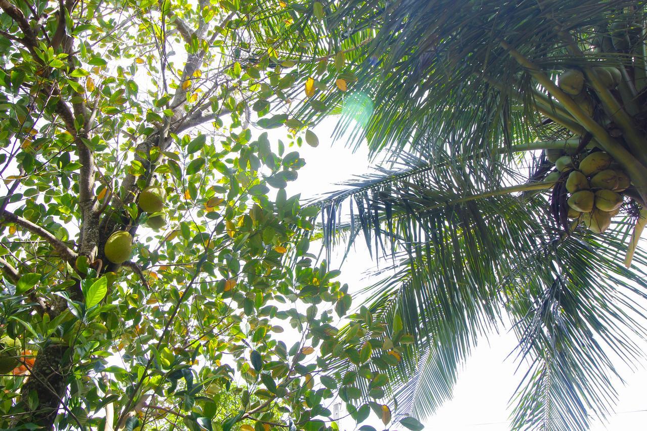 Dedunu Home Bentota Bagian luar foto